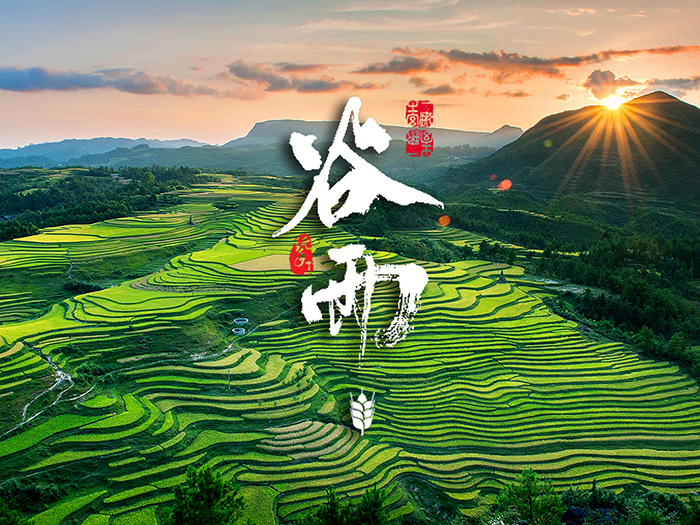 谷雨：春天的結(jié)束，生機(jī)的開始